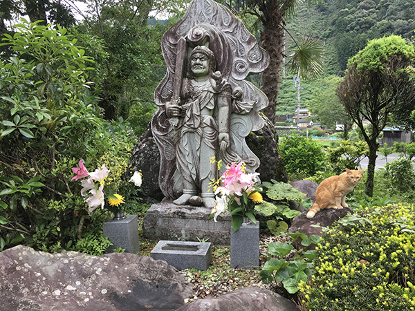 猫住職のいる長光寺