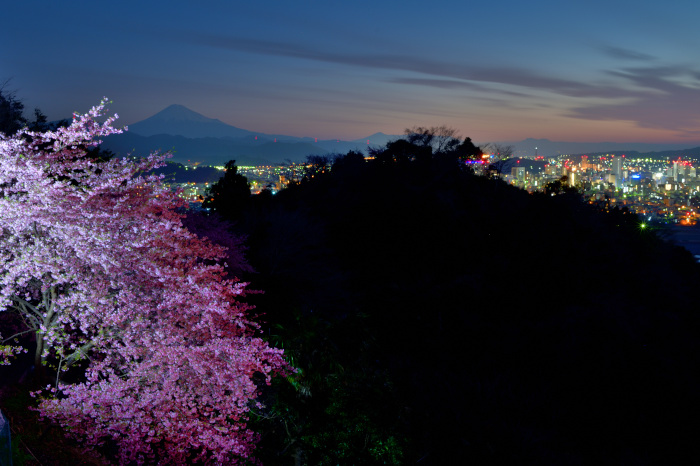 夜桜と静岡市夜景