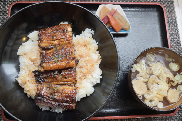 新所原駅でうな丼を食べる