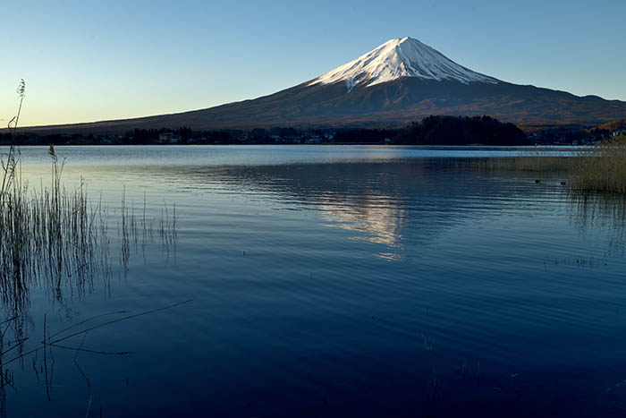 河口湖湖畔