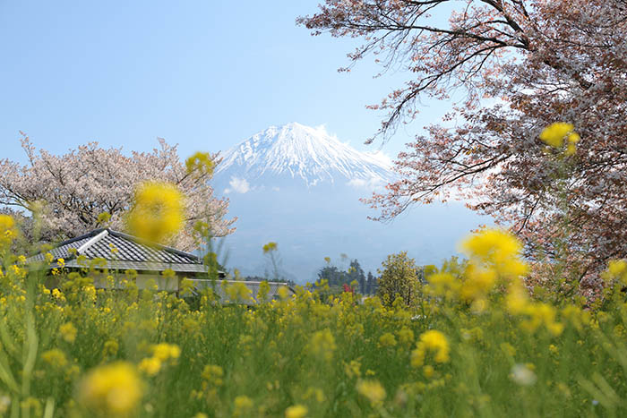 うららかな狩宿地区