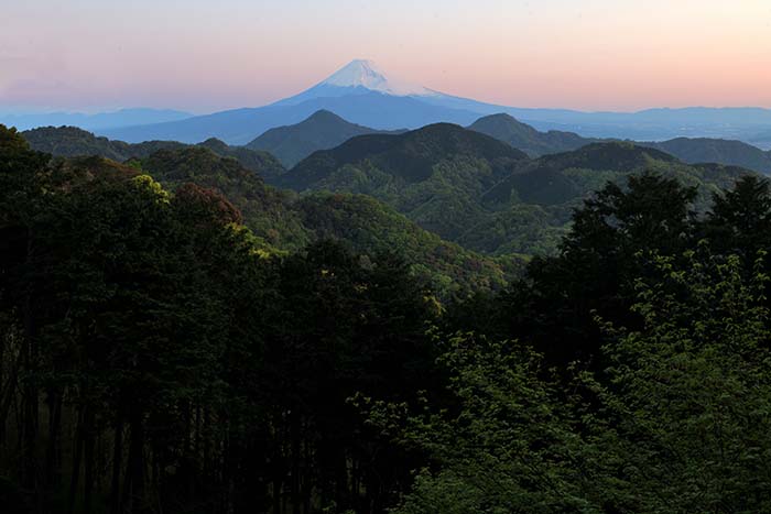 登山口からの紅富士