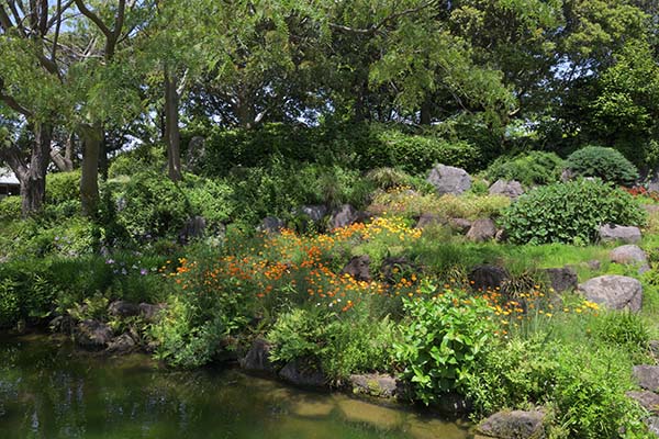 広大な敷地に水と花の公園