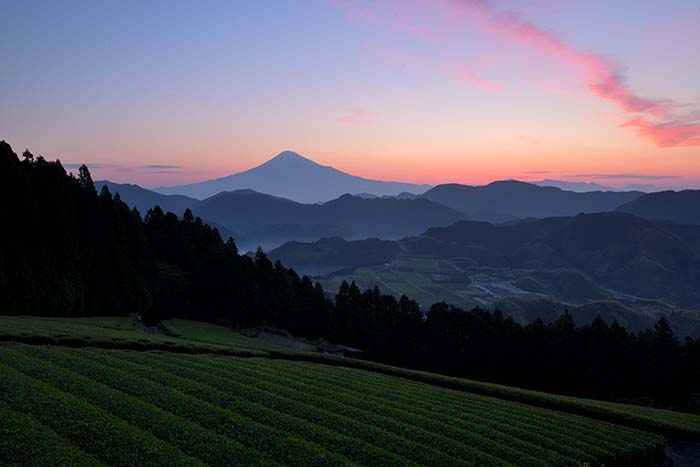 美しいアーチ