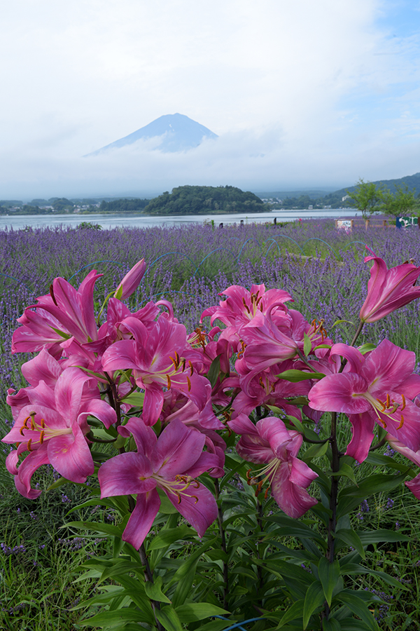 湖畔の彩