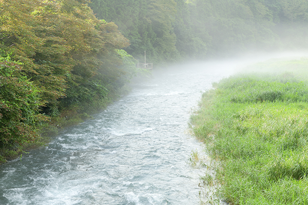 川霧