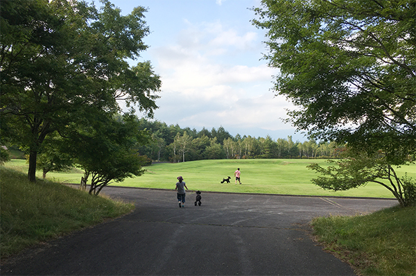 全国育樹記念公園