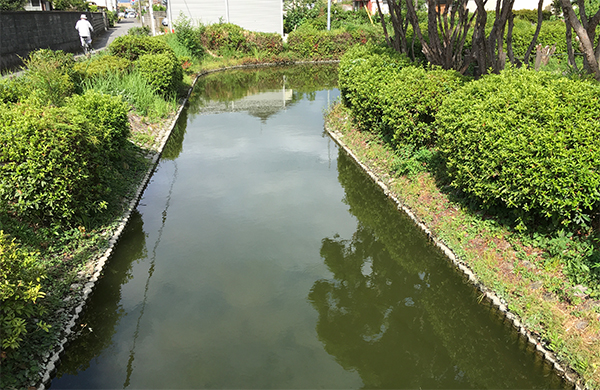 尾張一宮は水のきれいな街です