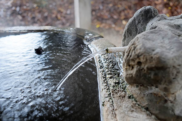 手洗い水が温泉