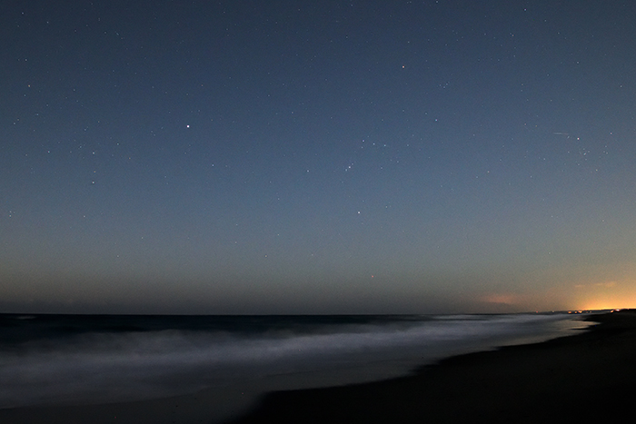 オリオン座浮かぶ南天