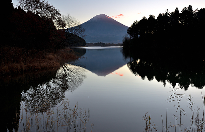 湖畔の朝