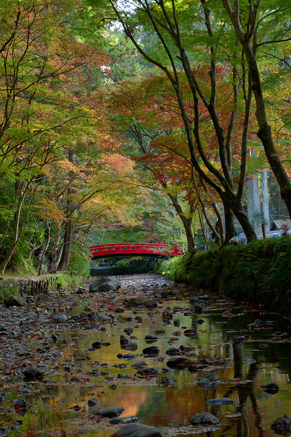 小国神社の紅葉