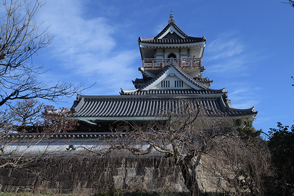 桜の時期が楽しみなお城です