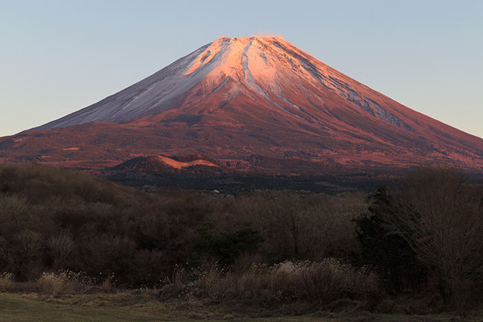 やわらかな紅富士