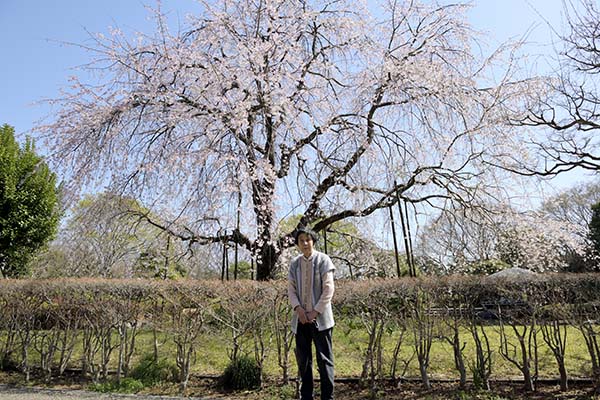 城北公園桜と母