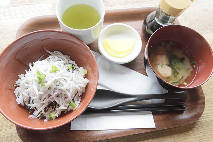 吉田港直送のゆでしらす丼