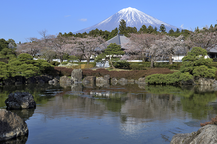 宝祥院からの富士山