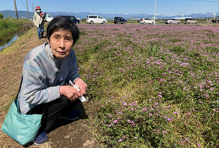 縦列駐車の車群と母