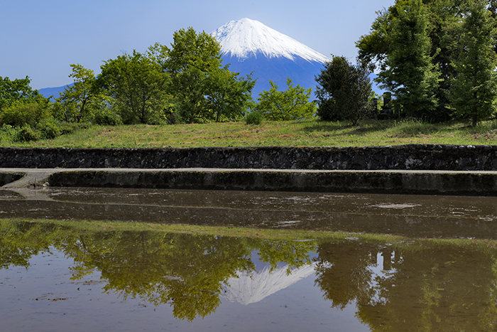 柚野の田植え前の水張り