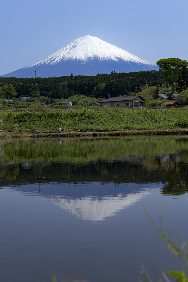 雄大なリフレクション