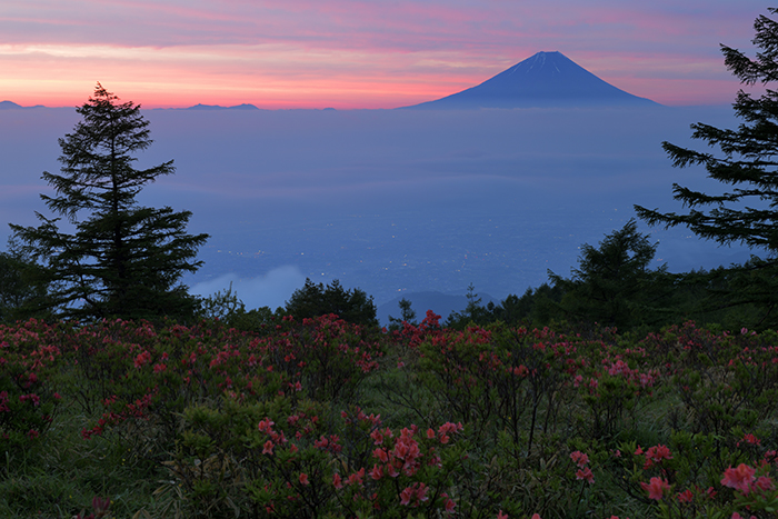 夜明けの甘利山