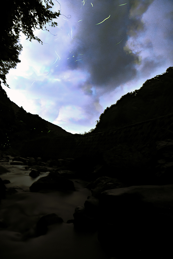 雨雲に飛ぶ