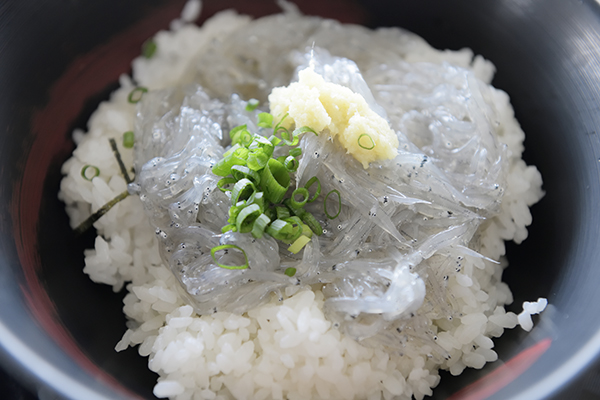 生しらす丼