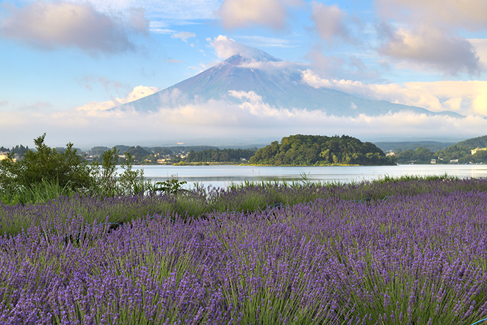 富士山現る