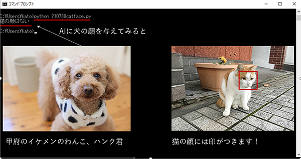 犬、猫の写真を与えてみました