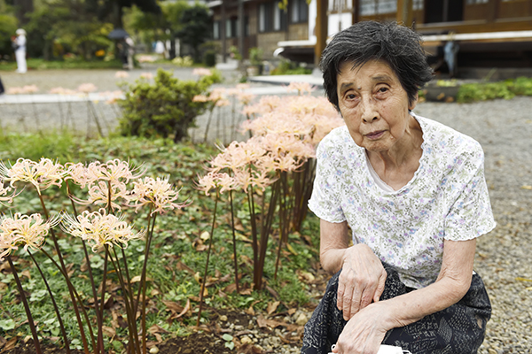 母に彼岸花の群落をみてもらいたい