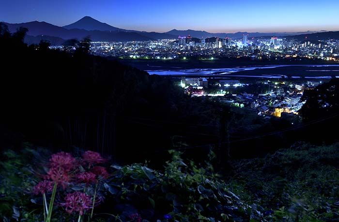 彼岸花咲く寺院より