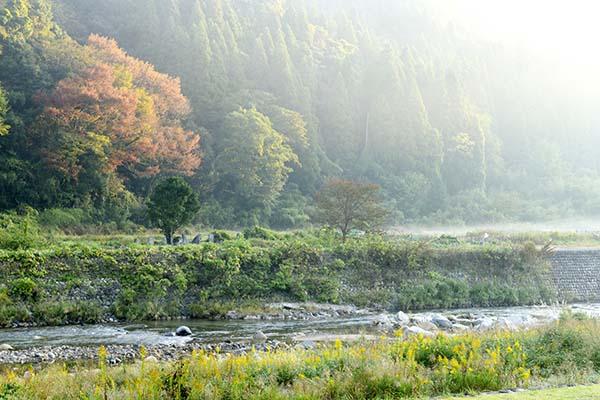 川霧に光さす