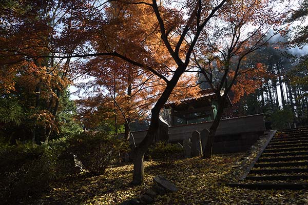 日光寺の紅葉