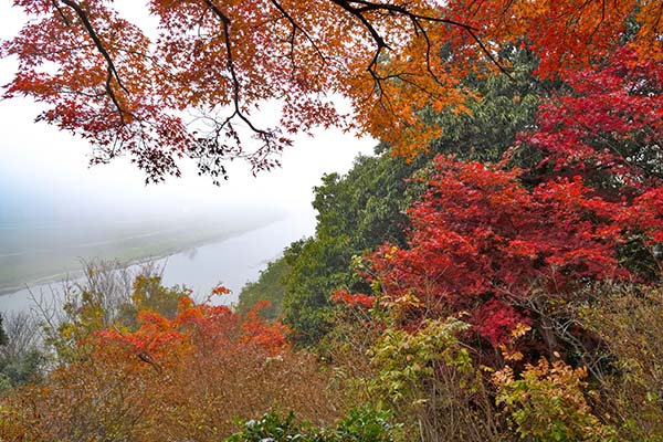 霞む江の川