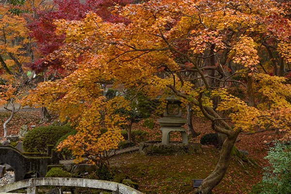 尾関山