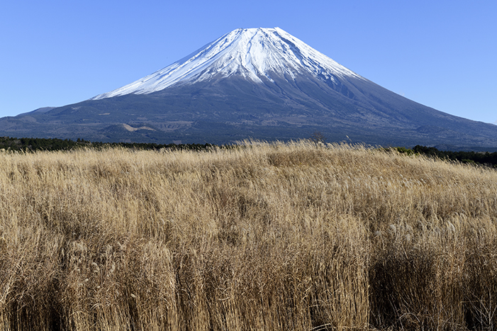 朝霧高原からの富士山