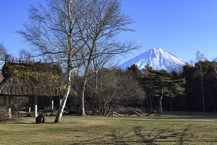 野鳥の森からの富士山