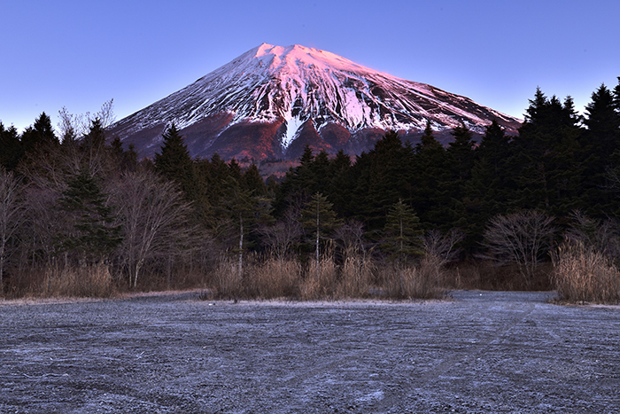 朝霜と紅富士