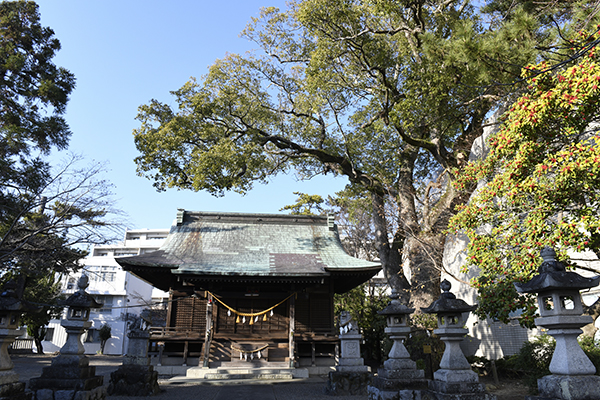 神社社殿正面