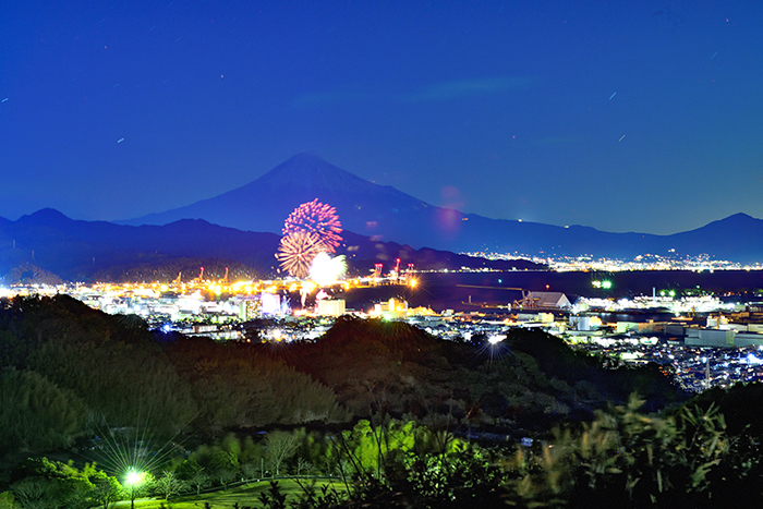 大晦日に咲く花