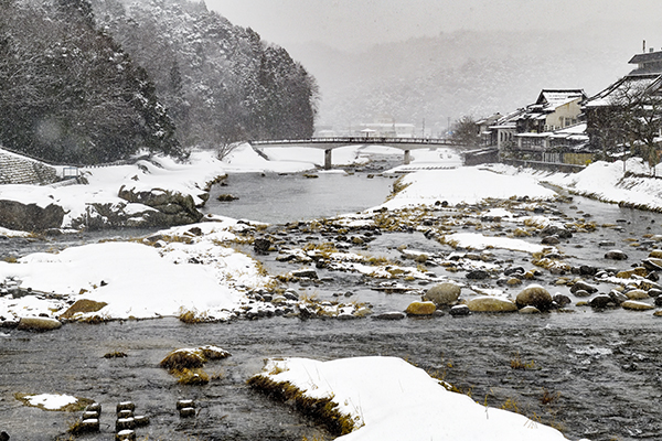 目覚めたら大雪でした