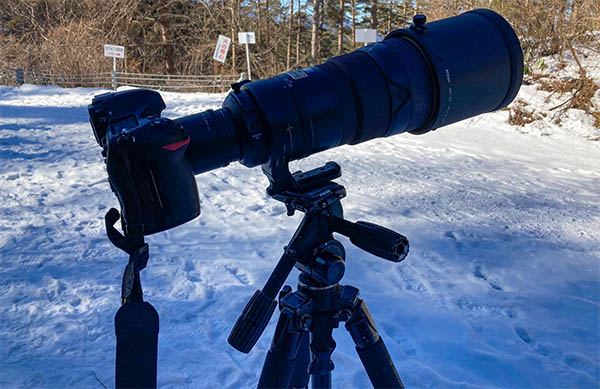 私の武器は相変わらずNikon D850+Nikkor 300mm f2.8 +テレコン２倍