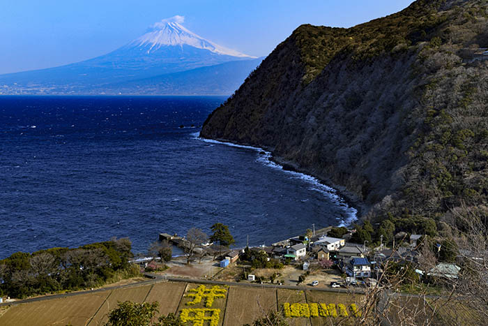 煌めきの丘からの富士山