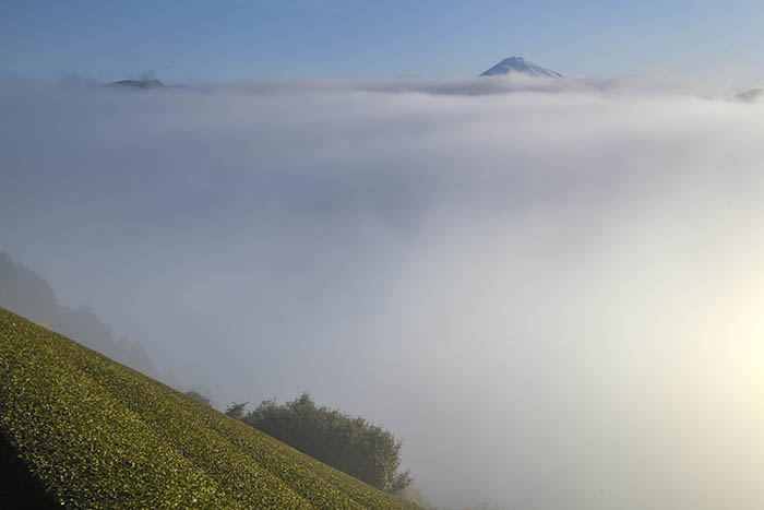 雲海遥か