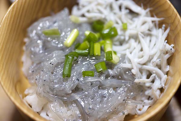 生シラスとゆでしらすの二色丼