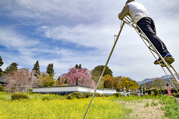 慈雲寺を出て、町田製パンでランチしたわれわれは勝沼ぶろう郷駅に向かいます