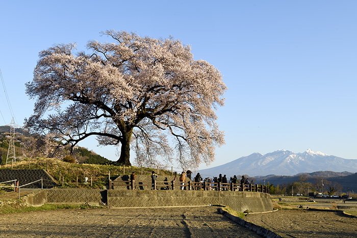 八ヶ岳と富士山