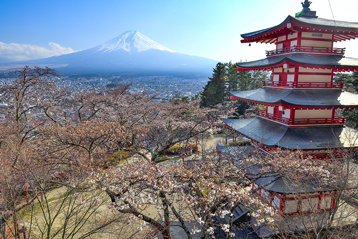 展望台より