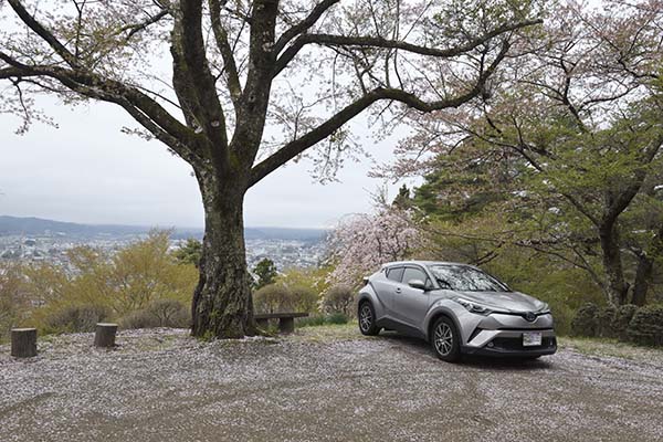 混雑も予想されますので。コスト削減も考えて車をまとめました