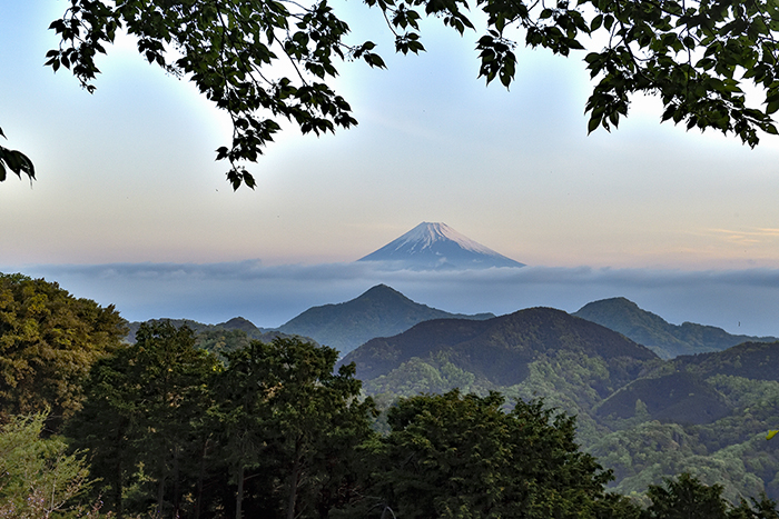 葛城中腹からの富士山